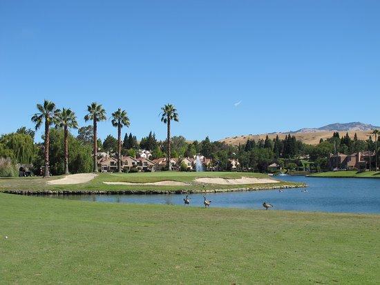Canyon Lakes Golf Course & Brewery