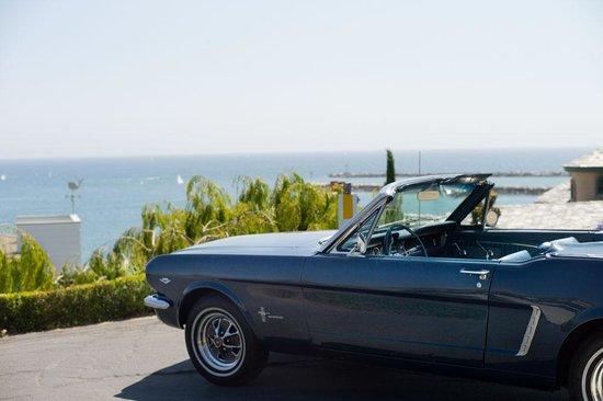 Classic Mustang Rentals
