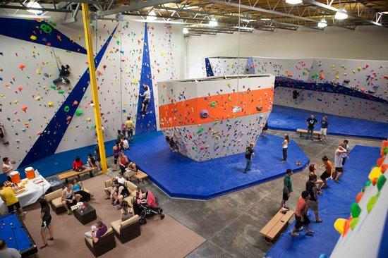 Top Out Climbing Gym