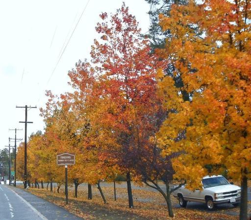 Foresthill Divide