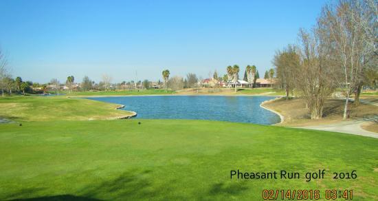 Pheasant Run Golf Club