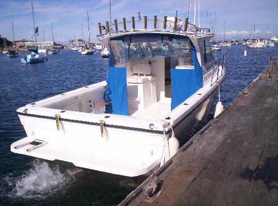 Ultimate Fish Charters