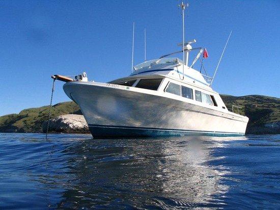 Seacret Charters