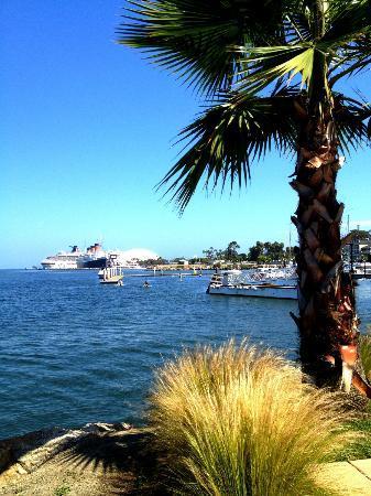 Long Beach Adventure Tours