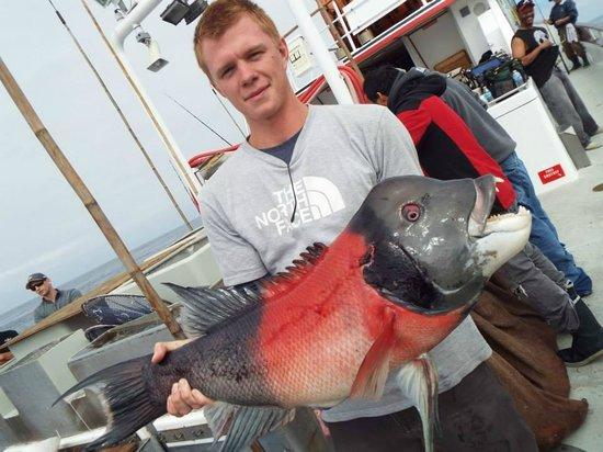 Long Beach Sportfishing