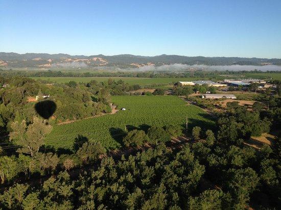 Sonoma Valley Balloons