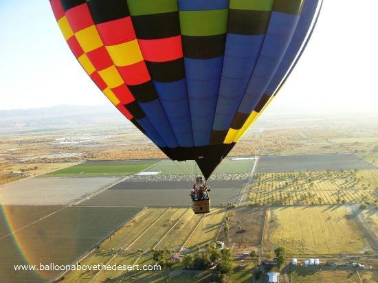 Balloons Above
