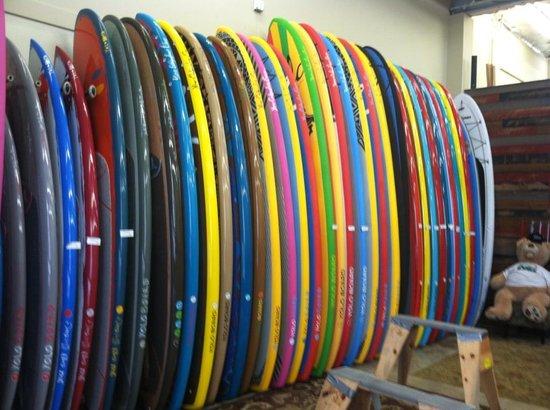 YOLO Board San Diego