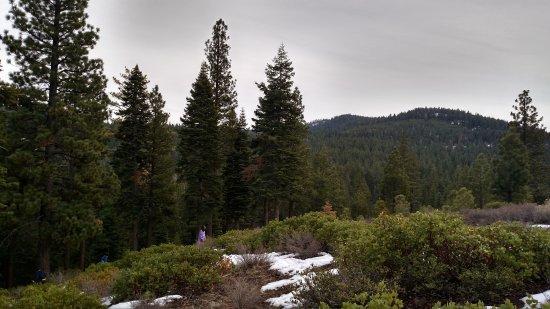 Tompkins Memorial Trail