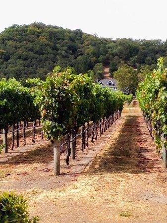 Open Air Jeep Tours - Private Tours