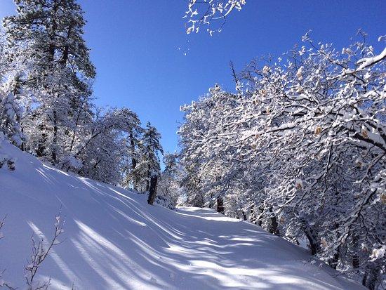 Rim Nordic Cross Country Ski Center
