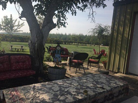 Yribarren Family Vineyards
