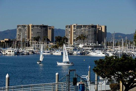 Pedego Marina Del Rey