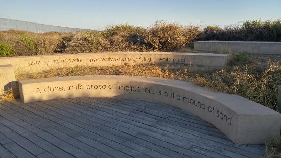 The Silver Strand Nature's Bridge to Discovery