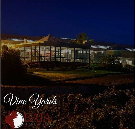 Baja Fine Wines