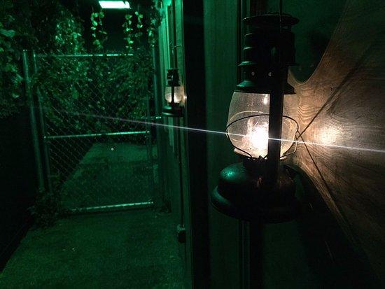 The Room