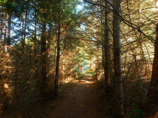 Pomo Canyon Trail