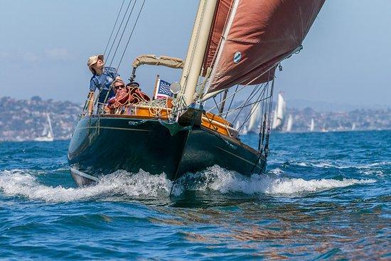 Lively Schooner