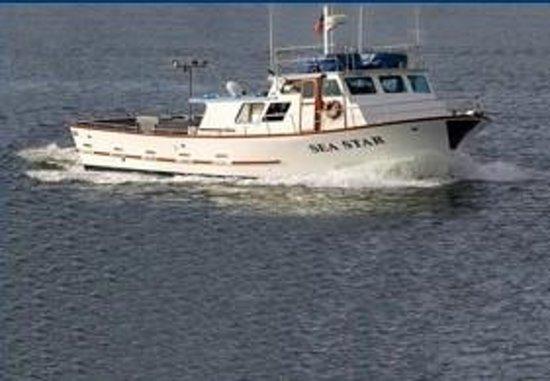 Sea Star Charters