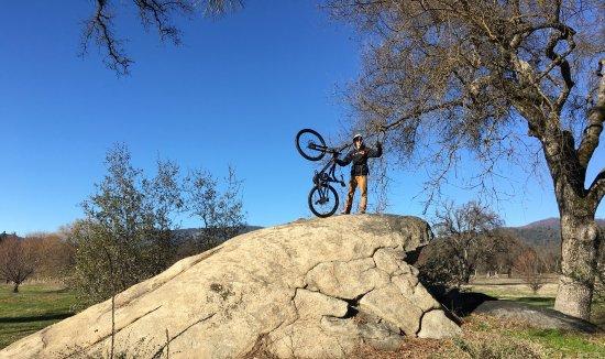 EcoBike Adventures