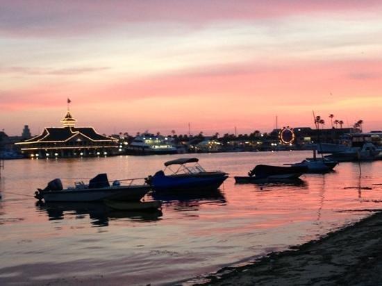 Newport Beach SUP Rental