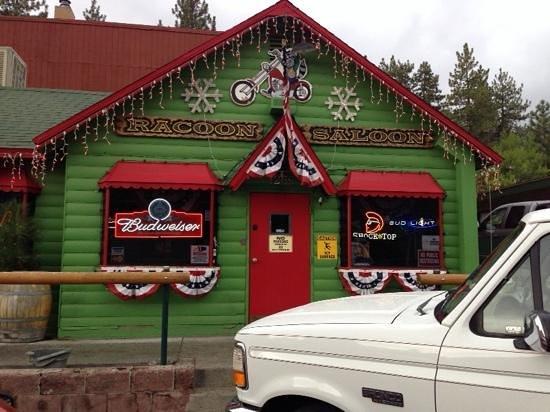 Racoon Saloon