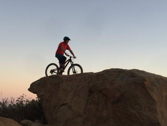 L.A. Mountain Bike Tours