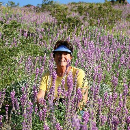 Tallgrass Hiking and Tours