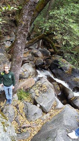 Lewis Creek Trail