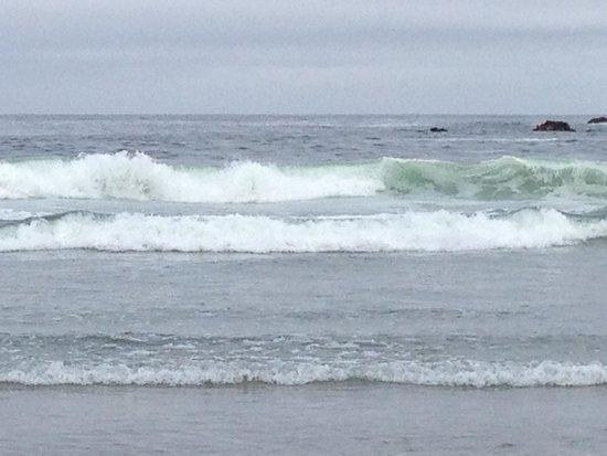 North Coast Surf School