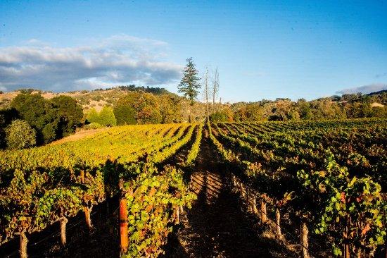 Powicana Farm Winery