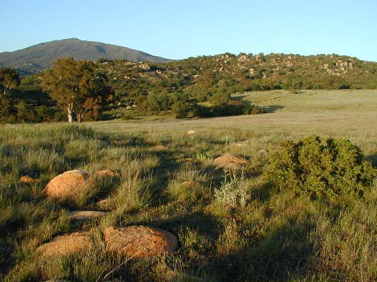 Wright's Field in Alpine