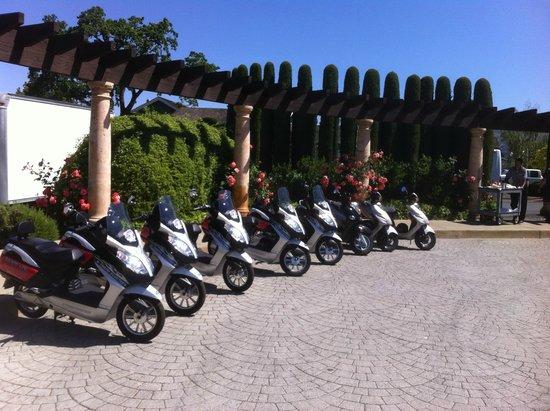 NVR Adventures Motorcycle & Moped Rentals