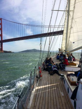 Call of the Sea - Day Trips