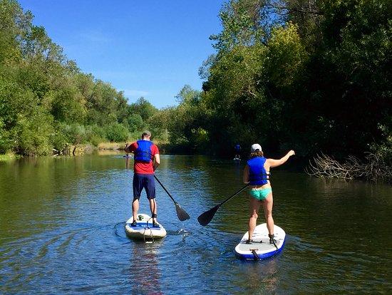 Russian River Paddle Boards
