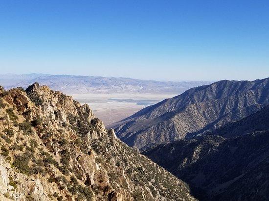 Horseshoe Meadow Trail