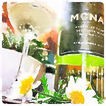 McNab Ridge Wine Co.