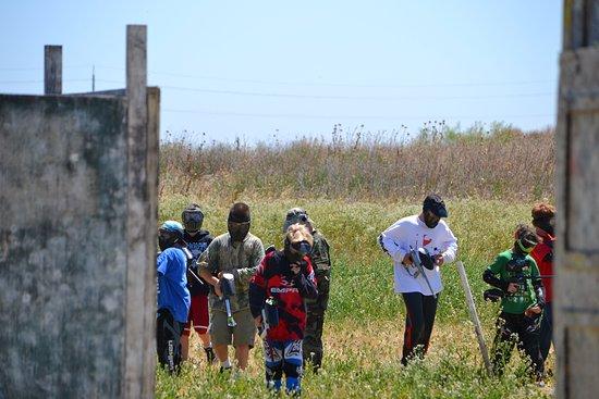 Davis Paintball