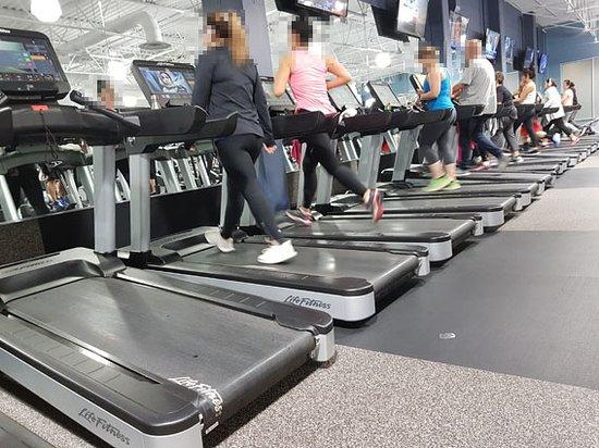 Fitness 19