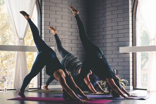 Flow Yoga and Wellness Studio
