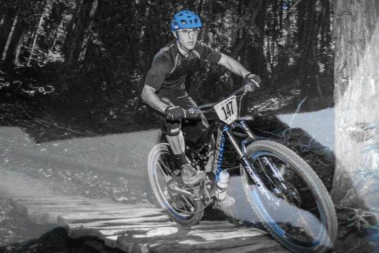 Ride the Redwoods