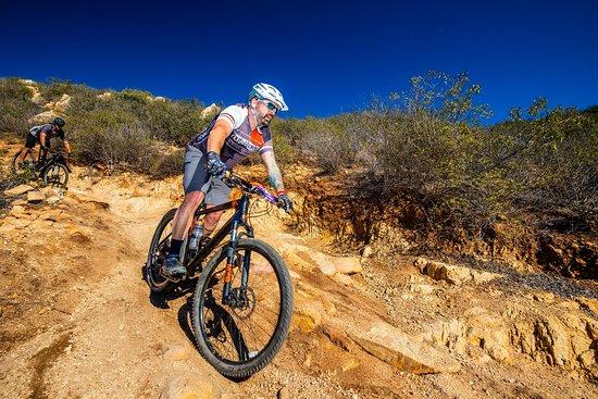 Mountain Bike Rentals
