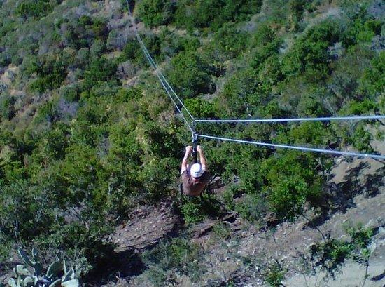 Catalina Island Zip Line Eco Tour