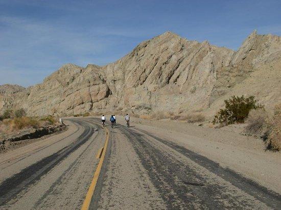 PS Bike Tours