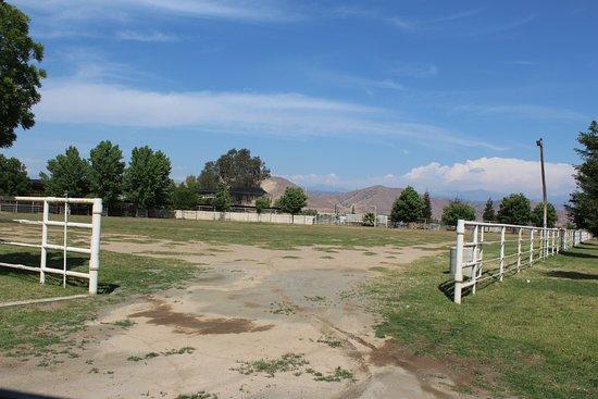 Rancho Los Potrillos