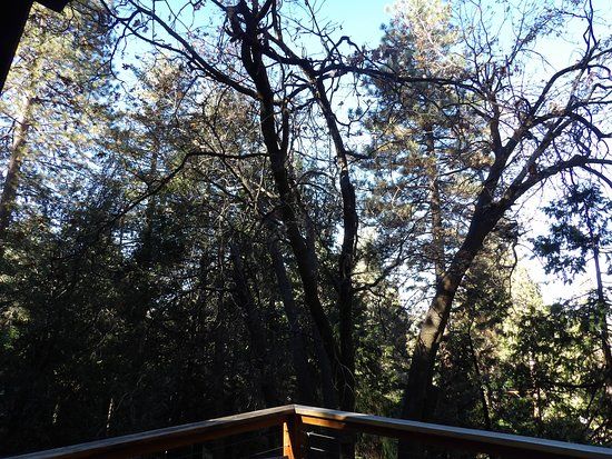 Idyllwild Park