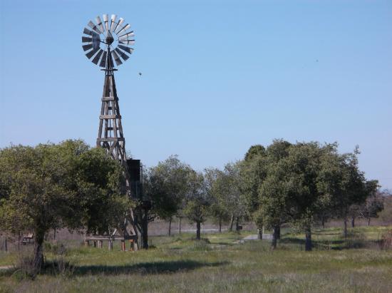 Dow Wetlands Wildlife Habitat Preserve