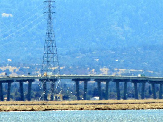 Dumbarton Bridge