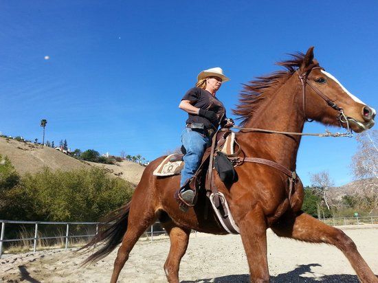 Ocean Park Ranch