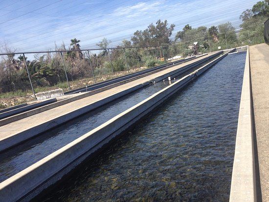 Fillmore Fish Hatchery